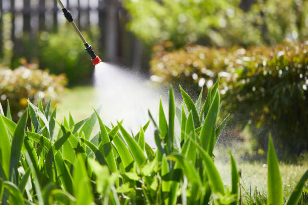 24/7 Emergency Wasp Removal experts in Livingston, TN