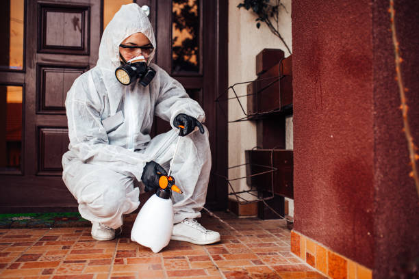 Reliable Wasp Removal contractor in Livingston, TN by Show Me Pest Control