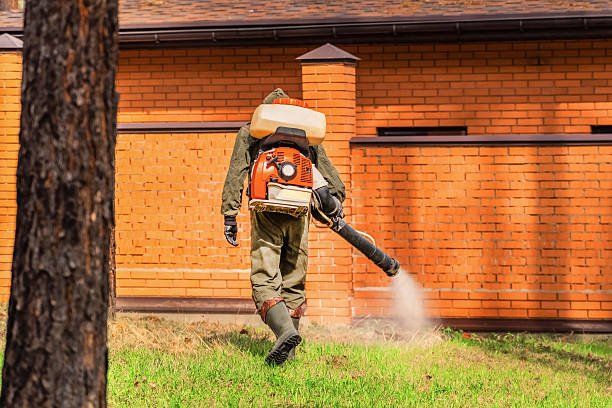 Top rated local Wasp Removal specialists in Livingston, TN